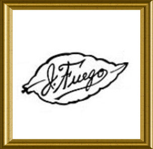 J_Fuego Logo